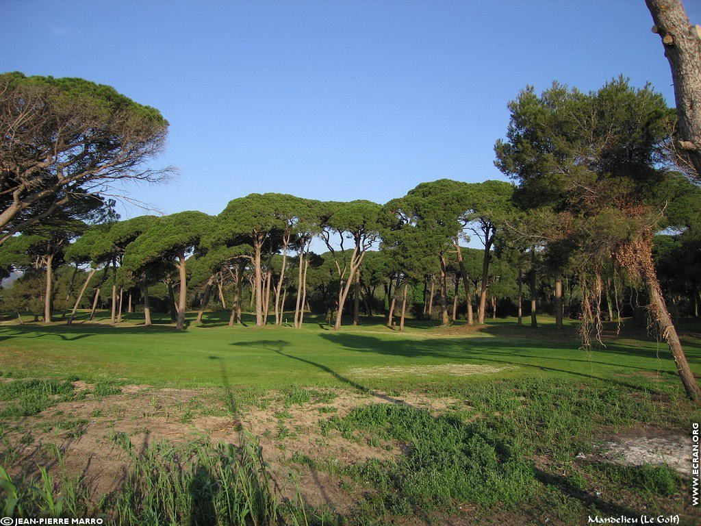 fonds d cran Cote d'Azur Alpes Maritimes Mandelieu la Napoule - de Jean-Pierre Marro