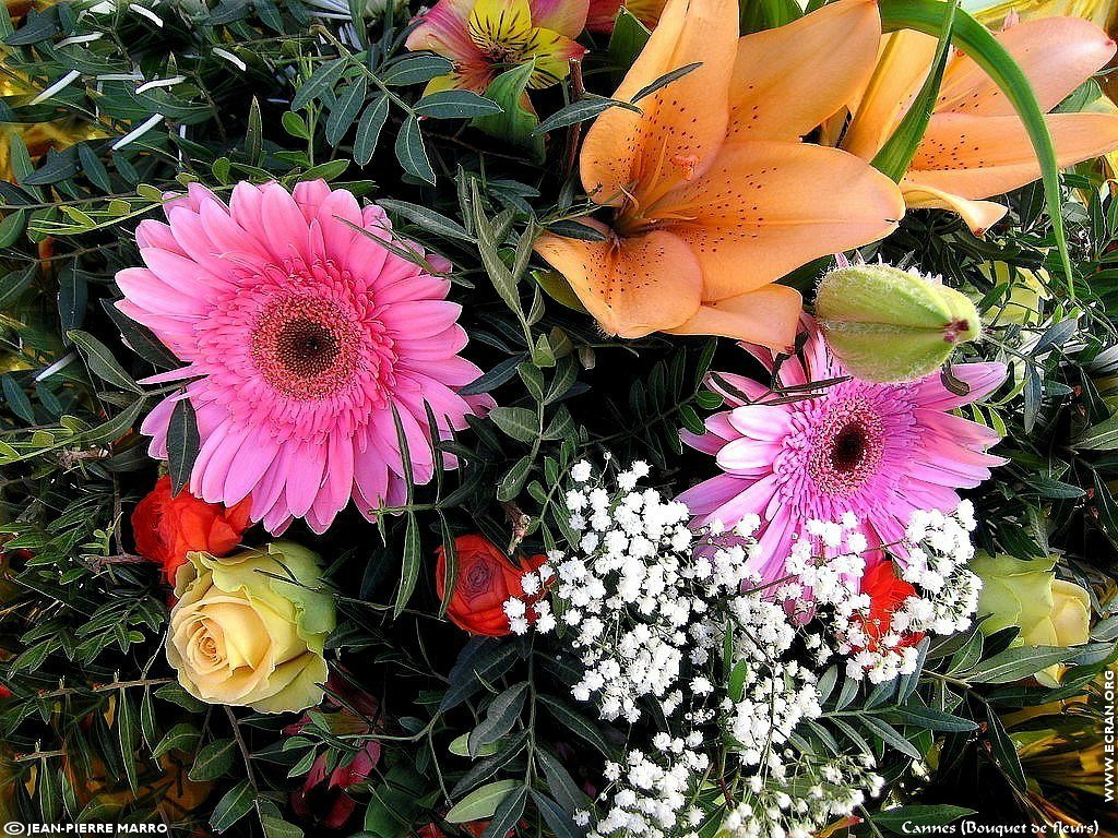 fonds d cran Bouquets de fleurs Cote d'Azur  Provence - de Jean-Pierre Marro