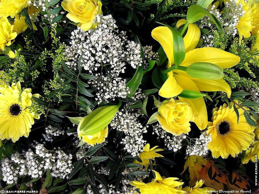 fonds d cran Bouquets de fleurs Cote d'Azur  Provence - de Jean-Pierre Marro