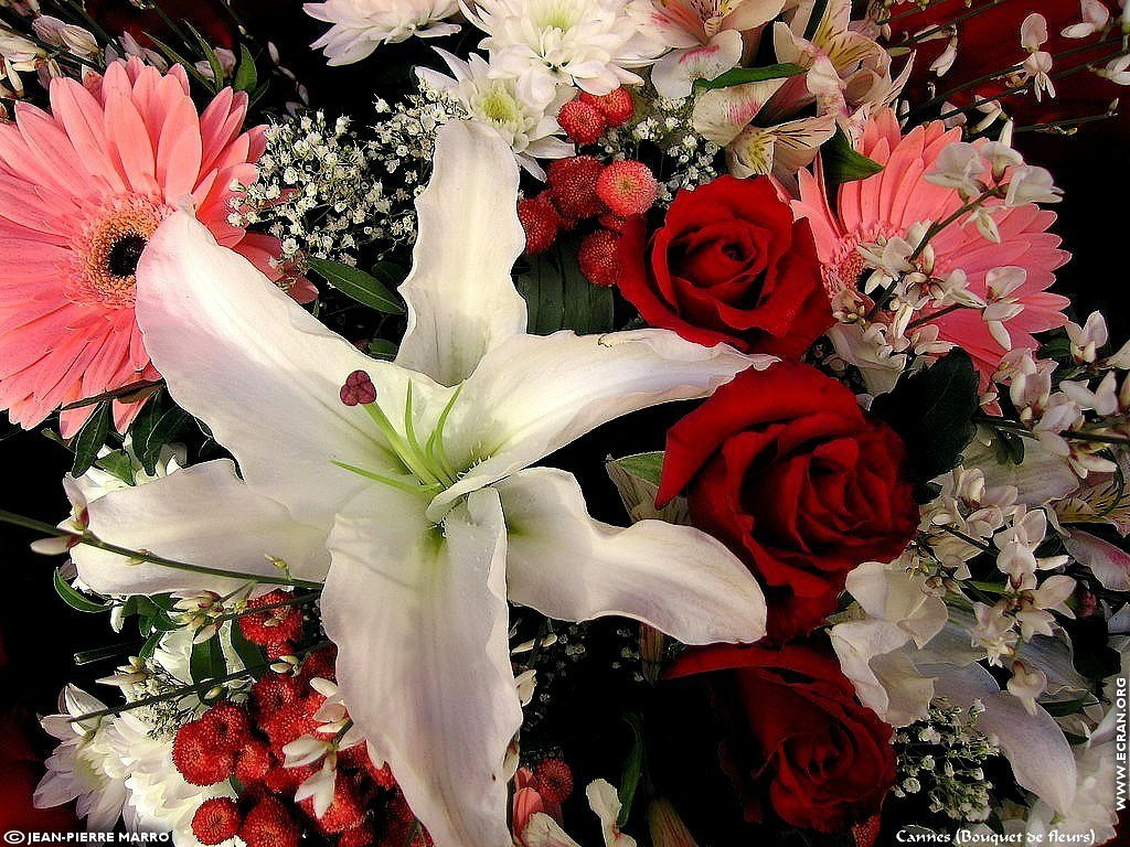 fonds d cran Bouquets de fleurs Cote d'Azur  Provence - de Jean-Pierre Marro