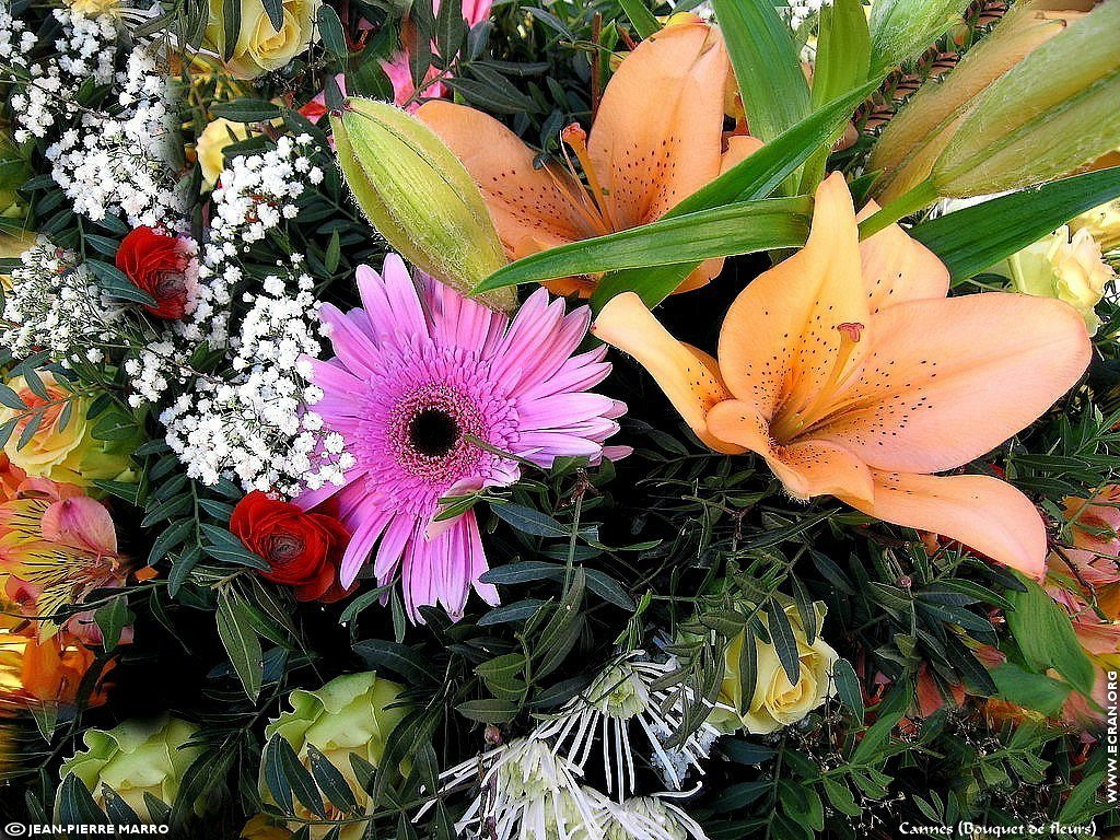 fonds d cran Bouquets de fleurs Cote d'Azur  Provence - de Jean-Pierre Marro