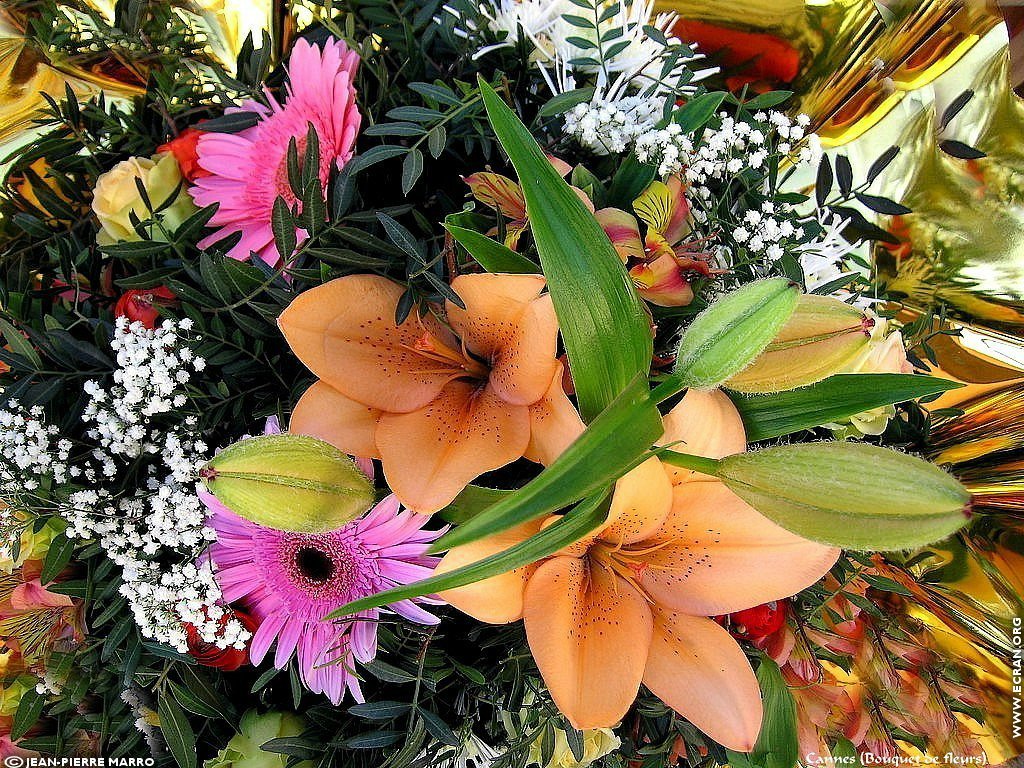 fonds d cran Bouquets de fleurs Cote d'Azur  Provence - de Jean-Pierre Marro