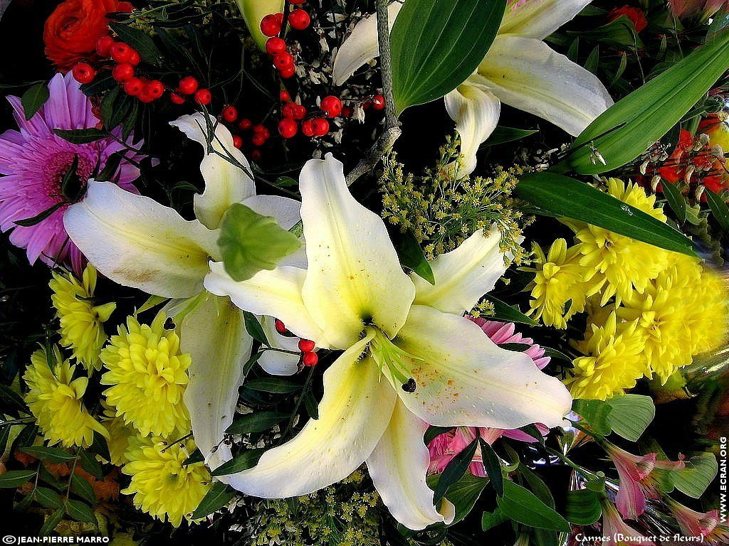 fonds d cran Bouquets de fleurs Cote d'Azur  Provence - de Jean-Pierre Marro