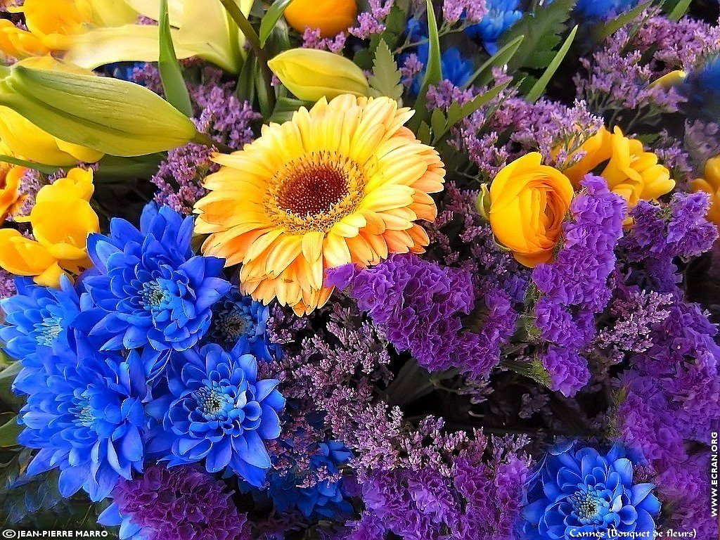 fonds d cran Bouquets de fleurs Cote d'Azur  Provence - de Jean-Pierre Marro