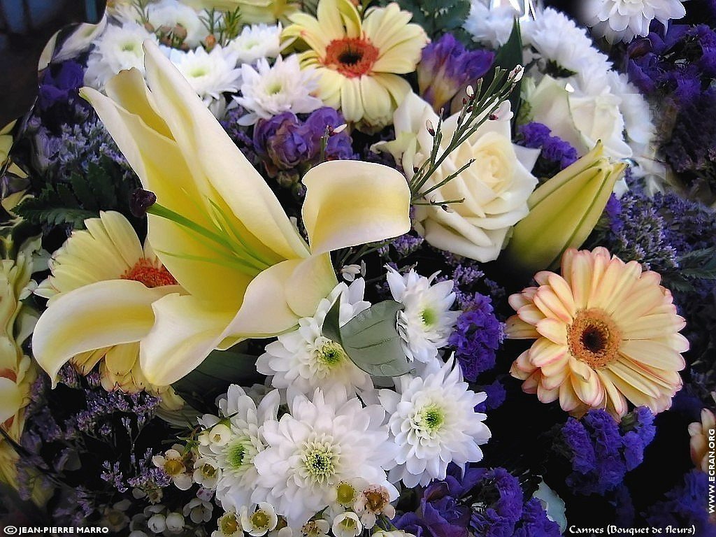 fonds d cran Bouquets de fleurs Cote d'Azur  Provence - de Jean-Pierre Marro