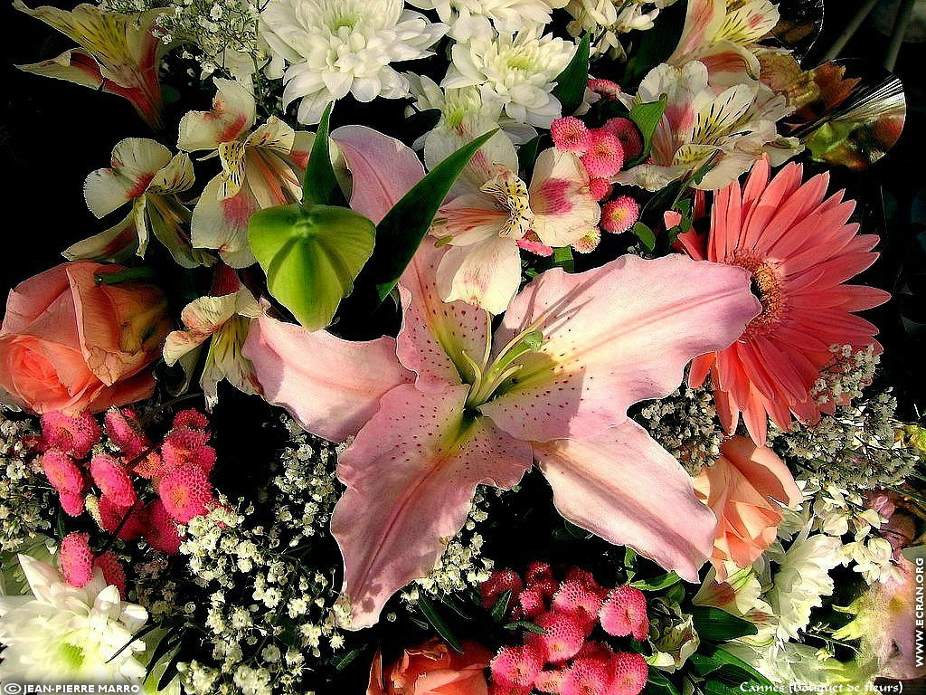 fonds d cran Bouquets de fleurs Cote d'Azur  Provence - de Jean-Pierre Marro