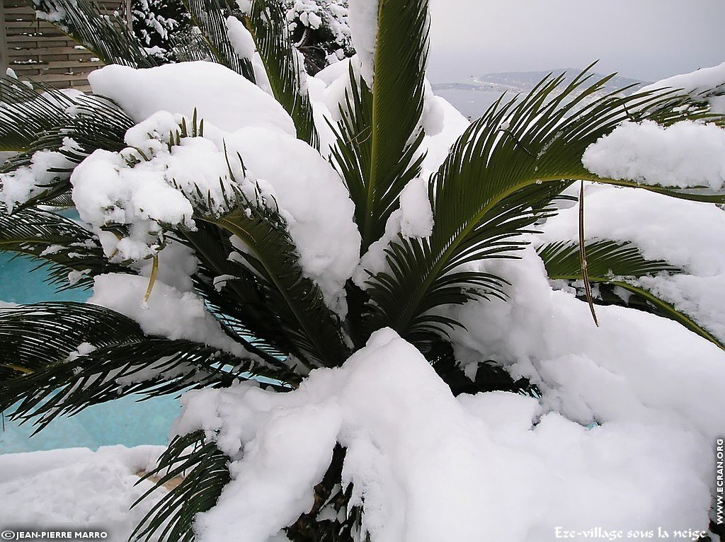 fonds d cran Sud Cote d Azur Provence Eze Neige (lieu du mariage Dave Evans U2) - de Jean-Pierre Marro