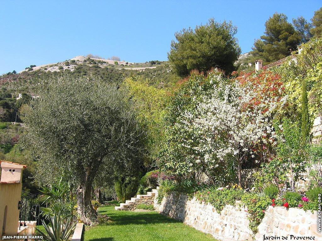 fonds d cran Provence - Eze - Fleurs et Plantes Grasses qui se trouvent aux environs du village d'Eze - de Jean-Pierre Marro