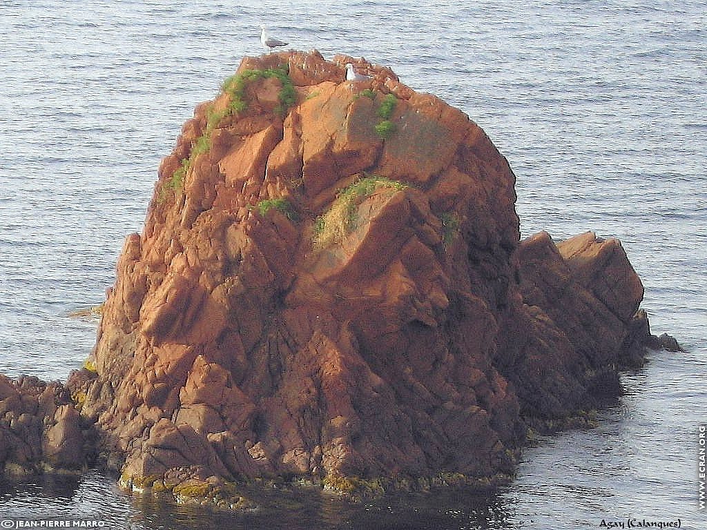 fonds d cran Cote d'Azur Var Agay calanques - de Jean-Pierre Marro