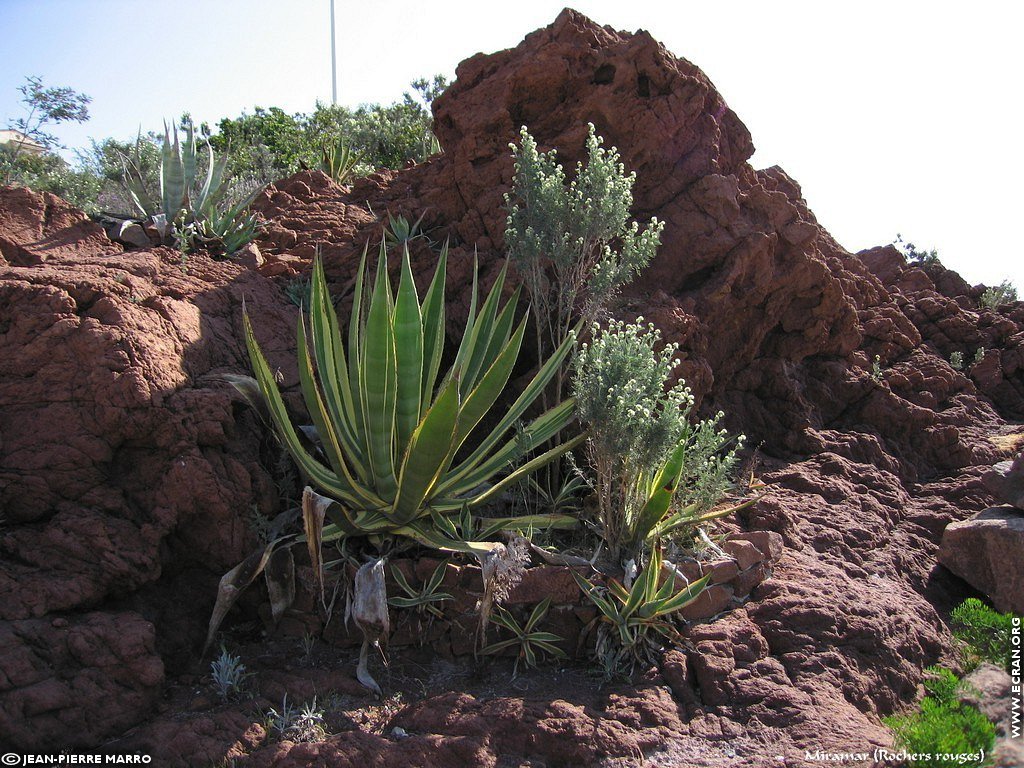 fonds d cran Cote d'Azur Var Miramar - de Jean-Pierre Marro