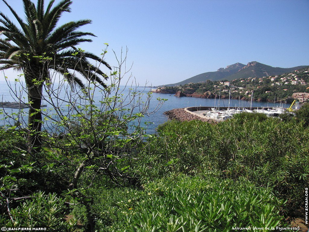 fonds d cran Cote d'Azur Var Miramar - de Jean-Pierre Marro