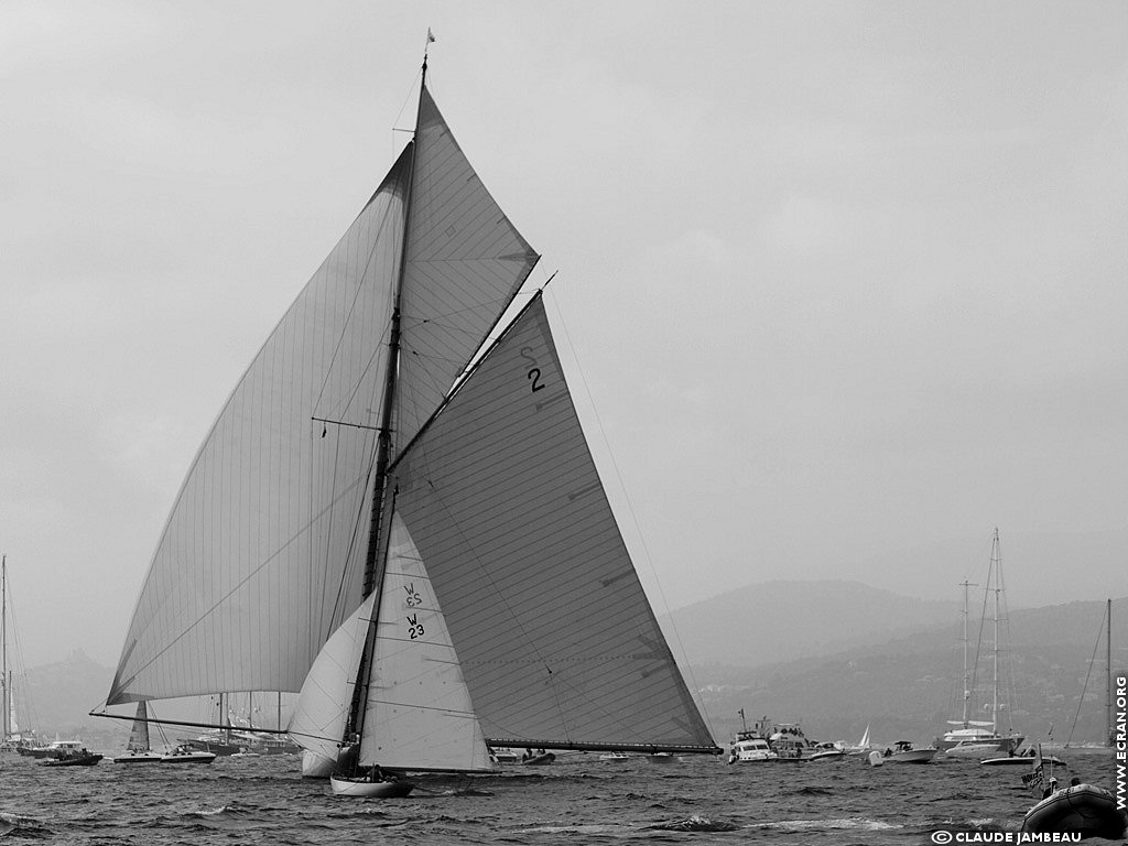 fonds d cran Voiles de Saint Tropez - de Claude Jambeau