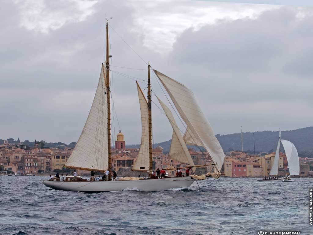 fonds d cran Voiles de Saint Tropez - de Claude Jambeau