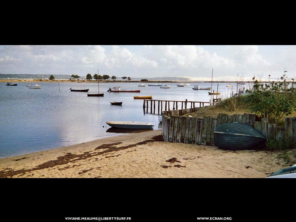 fonds d cran sud-ouest-aquitaine-gironde-cap-ferret - de Viviane Meaume