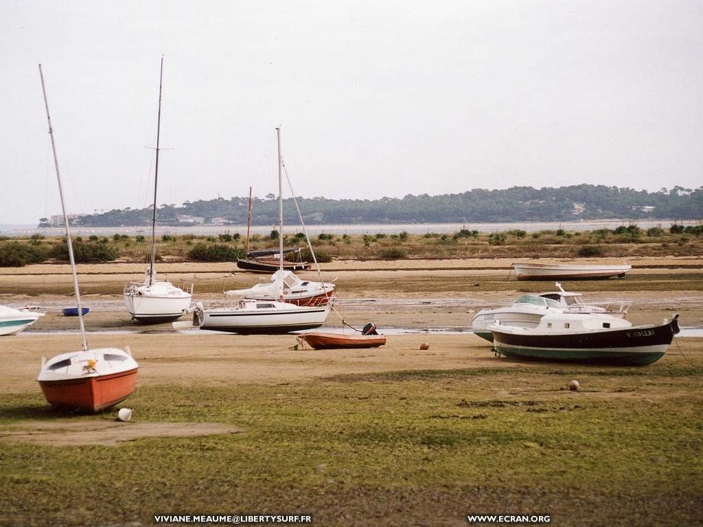 fonds d cran sud-ouest-aquitaine-gironde-cap-ferret - de Viviane Meaume