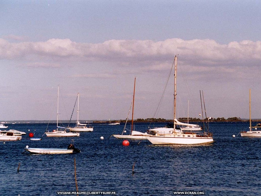 fonds d cran sud-ouest-aquitaine-gironde-cap-ferret - de Viviane Meaume