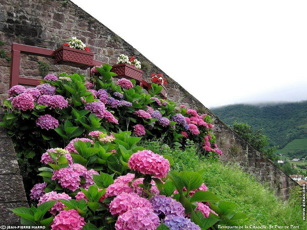 fonds d cran Saint Jean Pied de Port - Pays Basque - de Jean-Pierre Marro