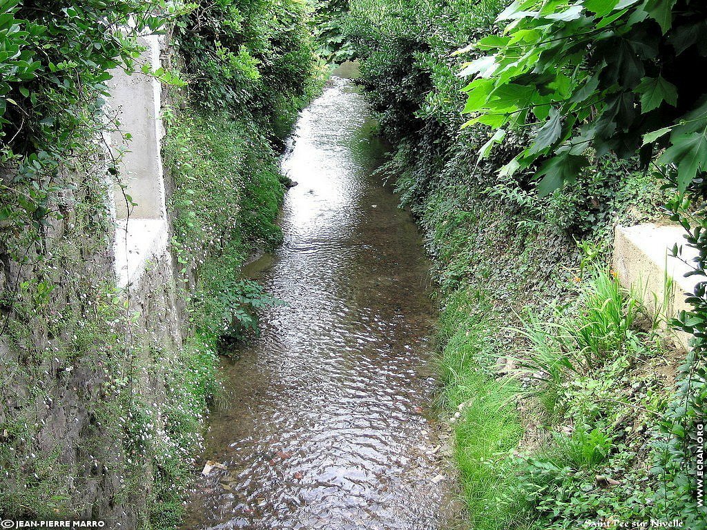 fonds d cran Saint Pee sur Nivelle- Pays Basque - de Jean-Pierre Marro