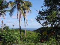 fonds cran de Franco Massioux - La Guadeloupe - Anse Laborte - Ansoise - Basse Terre - par Franco Massioux