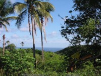 fonds d'ecran de Franco Massioux - La Guadeloupe - Anse Laborte - Ansoise - Basse Terre - par Franco Massioux