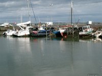 fond cran de Danile Thierry - Le Croisic Loire Atlantique