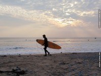 fonds ecran de Thierry Texier Lafleur - Loire-Atlantique Le Pouliguen - Surf au Pouliguen