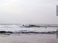 fonds d'ecran de Thierry Texier Lafleur - Loire-Atlantique Le Pouliguen - Surf au Pouliguen