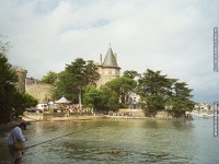 fonds cran de Jean-Claude Cocquerez - Pays de Loire - Pornic