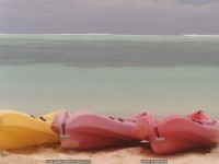 fond d ecran de Aurelia Jaeger - Asie du Sud-Ouest - Au dtour des plages des Maldives et des Antilles