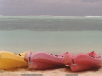 fond d'cran de Aurelia Jaeger - Asie du Sud-Ouest - Au dtour des plages des Maldives et des Antilles