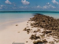 fond cran de Aurelia Jaeger - Asie du Sud-Ouest - Au dtour des plages des Maldives et des Antilles