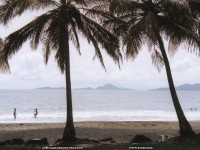 fond d ecran de Asie du Sud-Ouest - Au dtour des plages des Maldives et des Antilles - Aurelia Jaeger