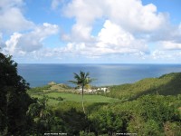 fond cran de Jean-Pierre Marro - martinique-antilles