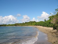 fond d ecran de martinique-antilles - Jean-Pierre Marro