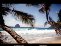 fond cran de Frederick - La Martinique en fonds d'cran par Frederick, vues du rocher du diamant, les Antilles en fond d'ecran