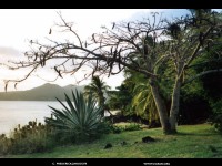 fonds d'cran de Frederick - La Martinique en fonds d'cran par Frederick, vues du rocher du diamant, les Antilles en fond d'ecran