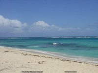 fond d ecran de Martinique - Laurent Vielet