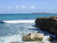 fond cran de Laurent Vielet - Martinique