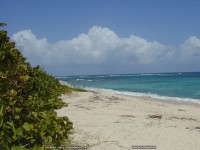 fond d ecran de Martinique - Laurent Vielet