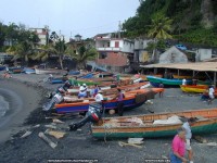 fonds cran de Marie christine Delhin - Martinique