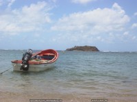 fond d'cran de Marie christine Delhin - Martinique