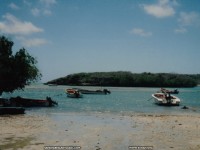 fond cran de Sandra Brigant - La martinique - les antilles - ste Luce - fleur & sable noir