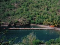 fonds ecran de Sandra Brigant - La martinique - les antilles - ste Luce - fleur & sable noir