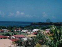 fond d ecran de La martinique - les antilles - ste Luce - fleur & sable noir - Sandra Brigant