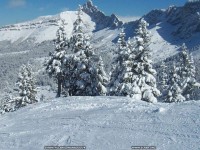 fonds cran de Syrine De Villard - montagne-neige-vercors-villard-de-lans