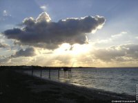 fonds d'cran de Henriette Joussaume - Ouest - Charente - le littoral charentais, les carrelets, la mer  mare basse