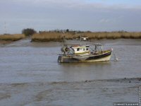 fond d ecran de Ouest - Charente - le littoral charentais, Soubise, Angoulins .. - Henriette Joussaume