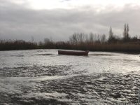 fonds d'cran de Henriette Joussaume - Ouest - Charente - le littoral charentais, Soubise, Angoulins ..