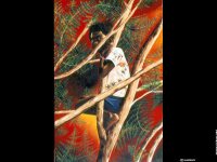 fond d ecran de Vanuatu - peintures d'Aldhy - Aldhy