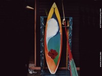 fond d'cran de Franck - Franck - Peintre & surfeur - surf & peinture - peintre de l'Ocan - fond ecran iod
